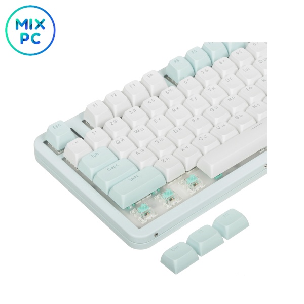 I2NvTcx6Ph.jpg