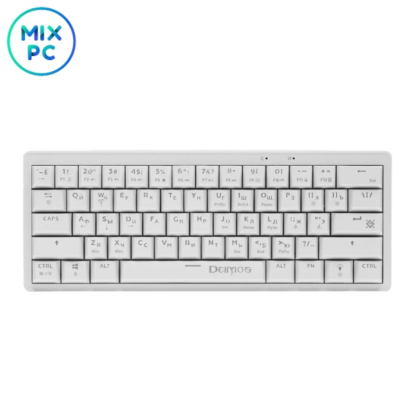 7gtK63umPd.jpg