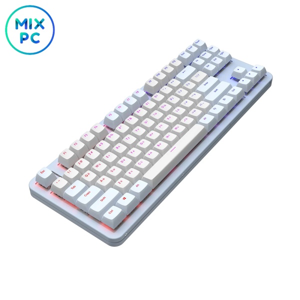 Zb8hsGT6DB.jpg