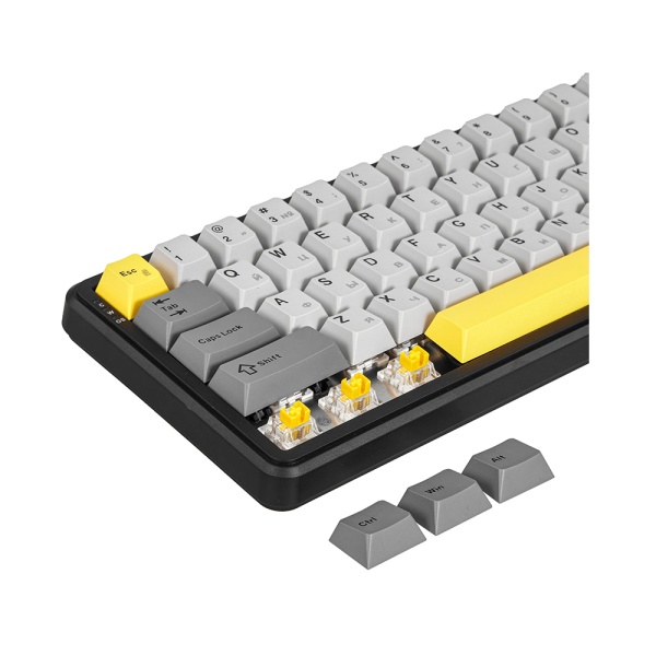 aNL31rbNsV.jpg