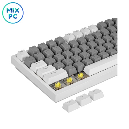 QM10LCQDuR.jpg