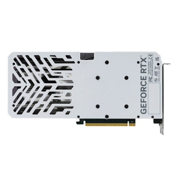dw483sDpTn.jpg